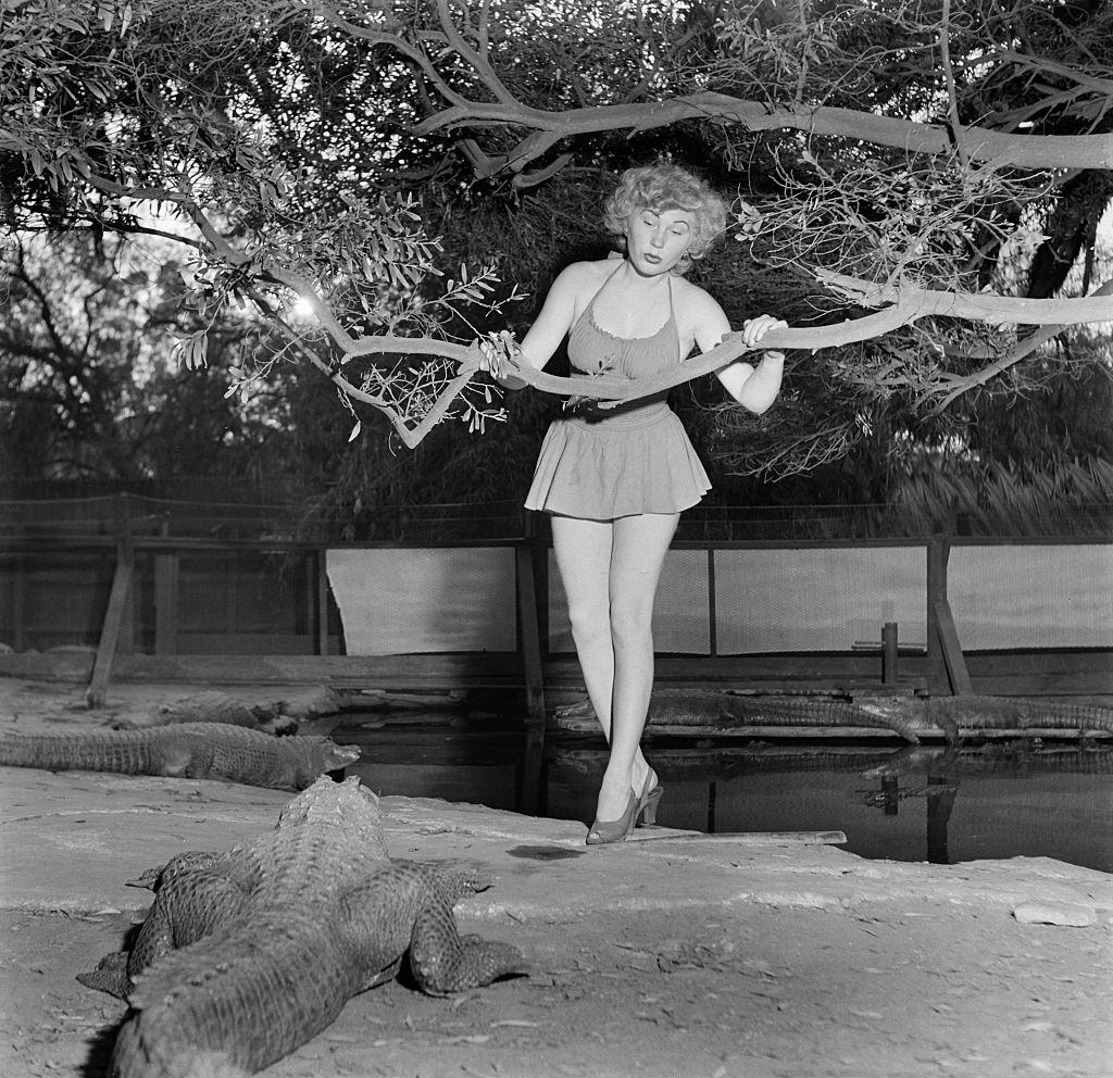 A model poses with an alligator at the Los Angeles Alligator Farm, 1949