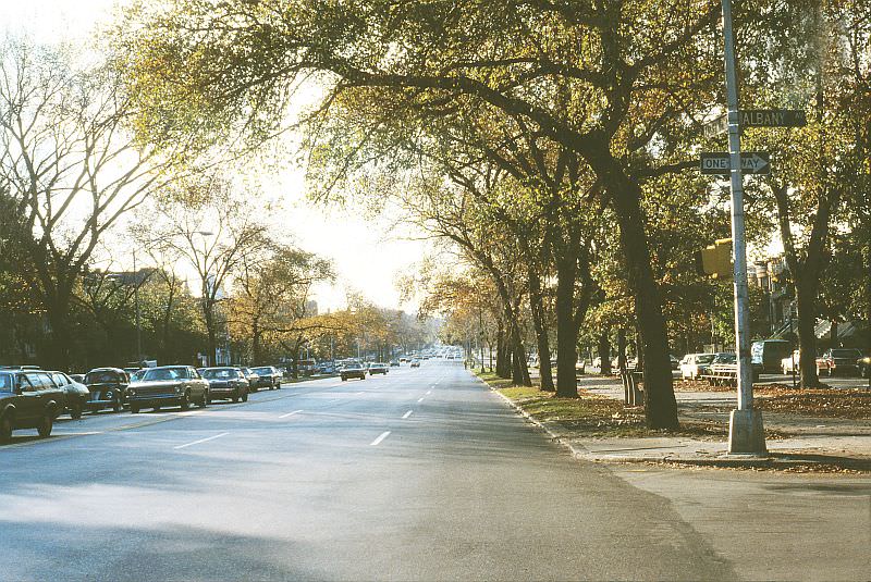 Albany Avenue and Eastern Parkway, Brooklyn