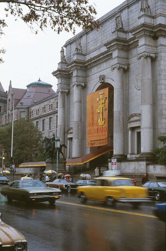 American Museum of Natural History (Manhattan) and a few exhibits