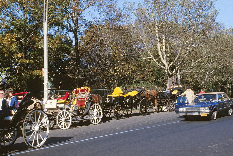 Carriages along Central Park, near Central Park South and 5th Avenue