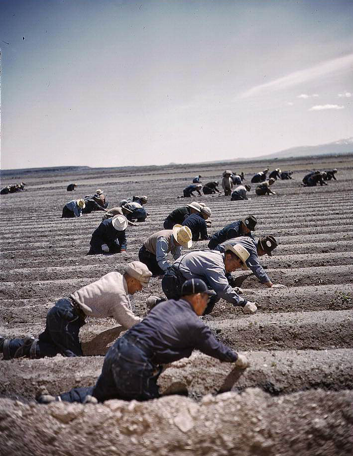 Japanese-American camp, war emergency evacuation, Tule Lake Relocation Center, Newell, California, 1950s