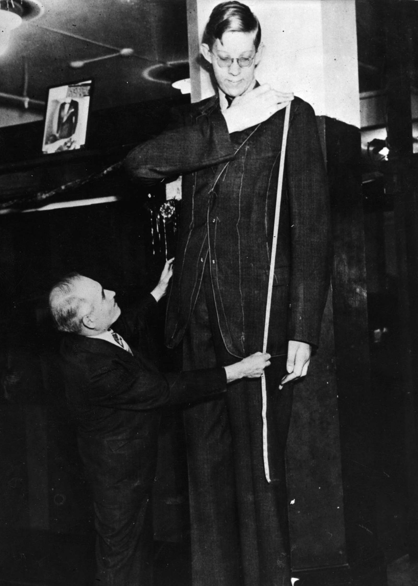 Wadlow is fitted for a jacket, 1939.
