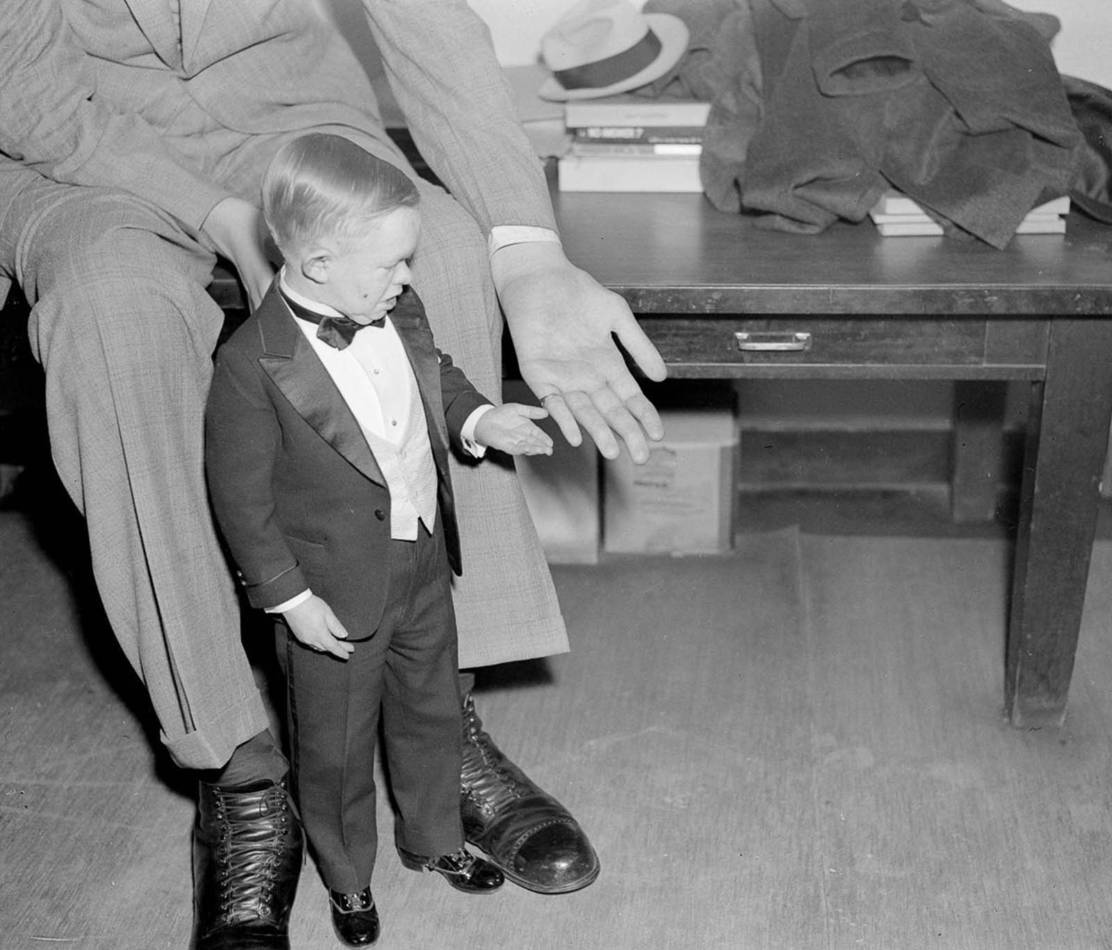 “Major Mite” of the Ringling Brothers Circus compares hand sizes with Wadlow, 1937.