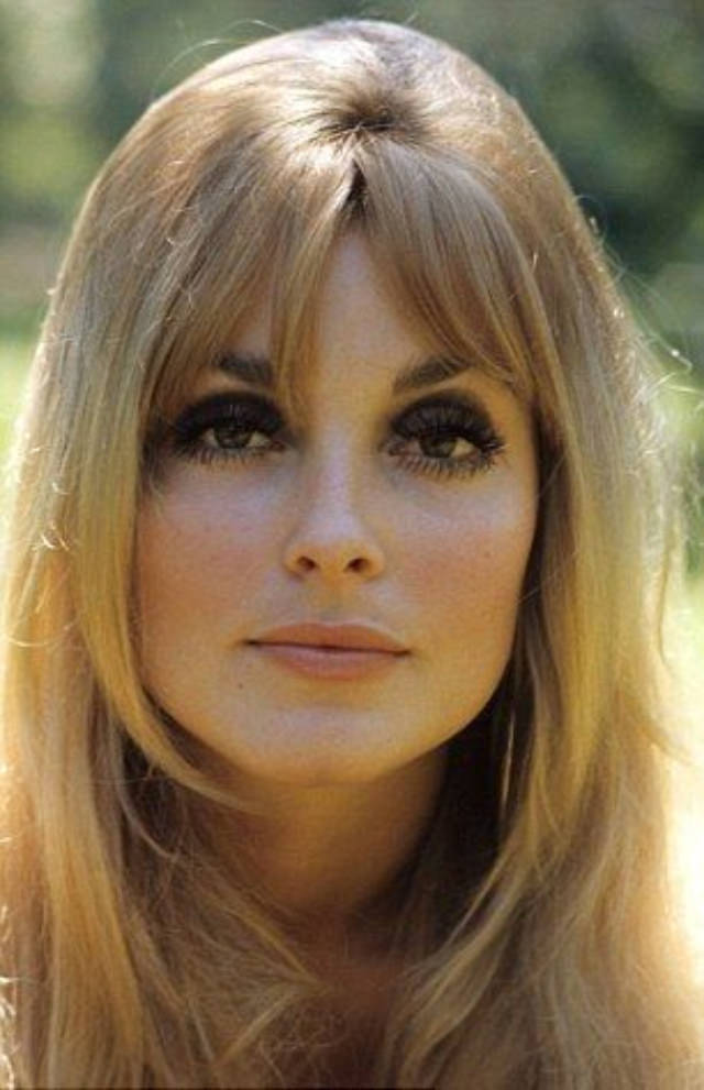 Glamorous Portraits of Sharon Tate by Orlando Suero in 1965