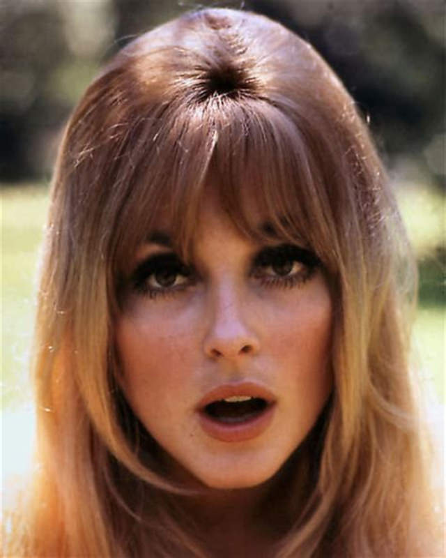 Glamorous Portraits of Sharon Tate by Orlando Suero in 1965