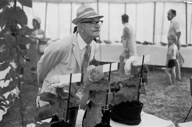 Flower show, Llanfrechfa