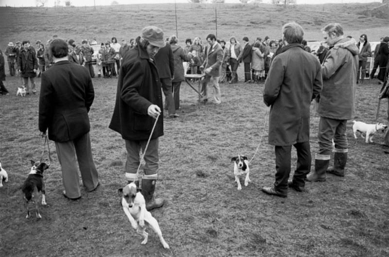 Dog show at the Taf Fechan Hunt Show, Merthyr Tydfil