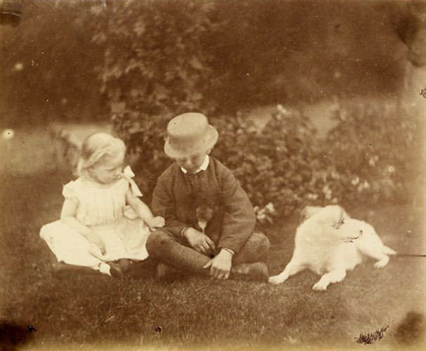 Boy and girl with two dogs