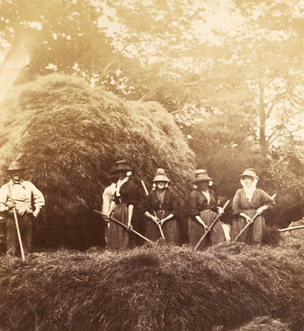 Haymaking at Penlle'r-gaer