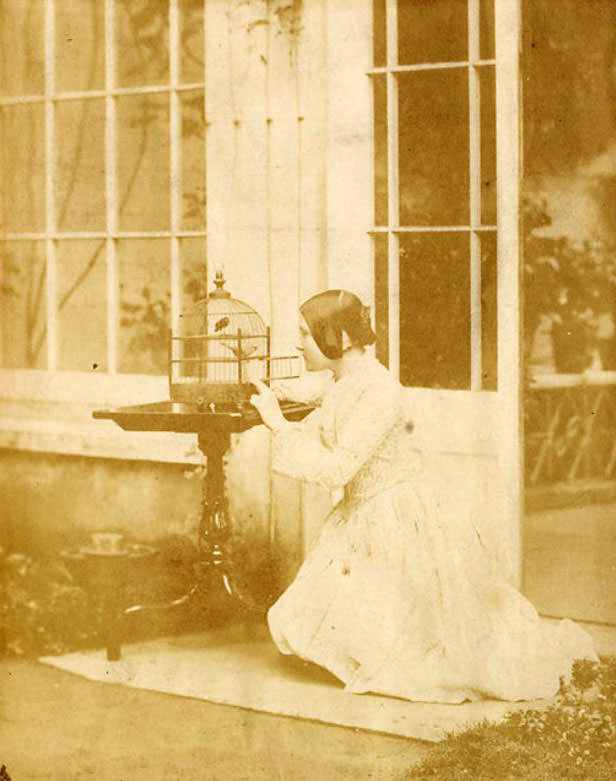 Thereza Dillwyn Llewelyn