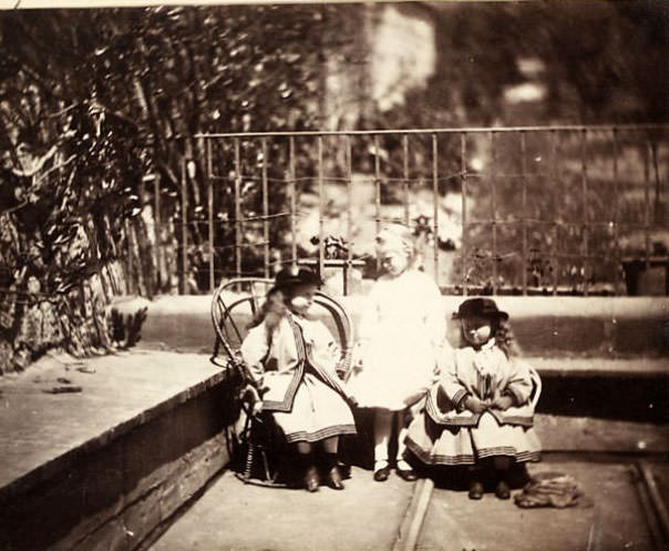 Three girls in a garden