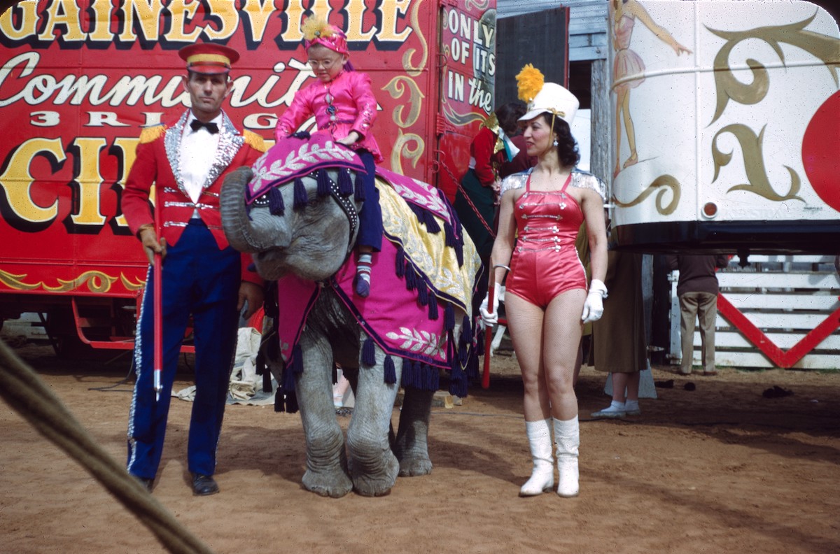 Gainesville Circus, Texas