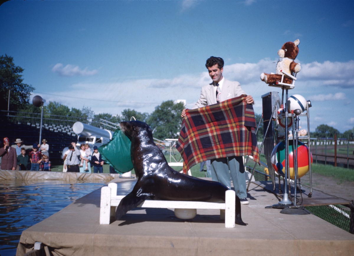 Sharkey the Seal, and Billy Roe,1954