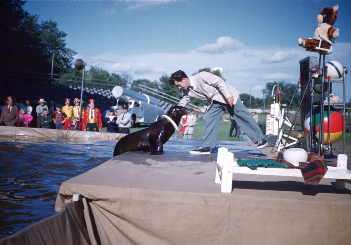 Sharkey the Seal, and Billy Roe,1954