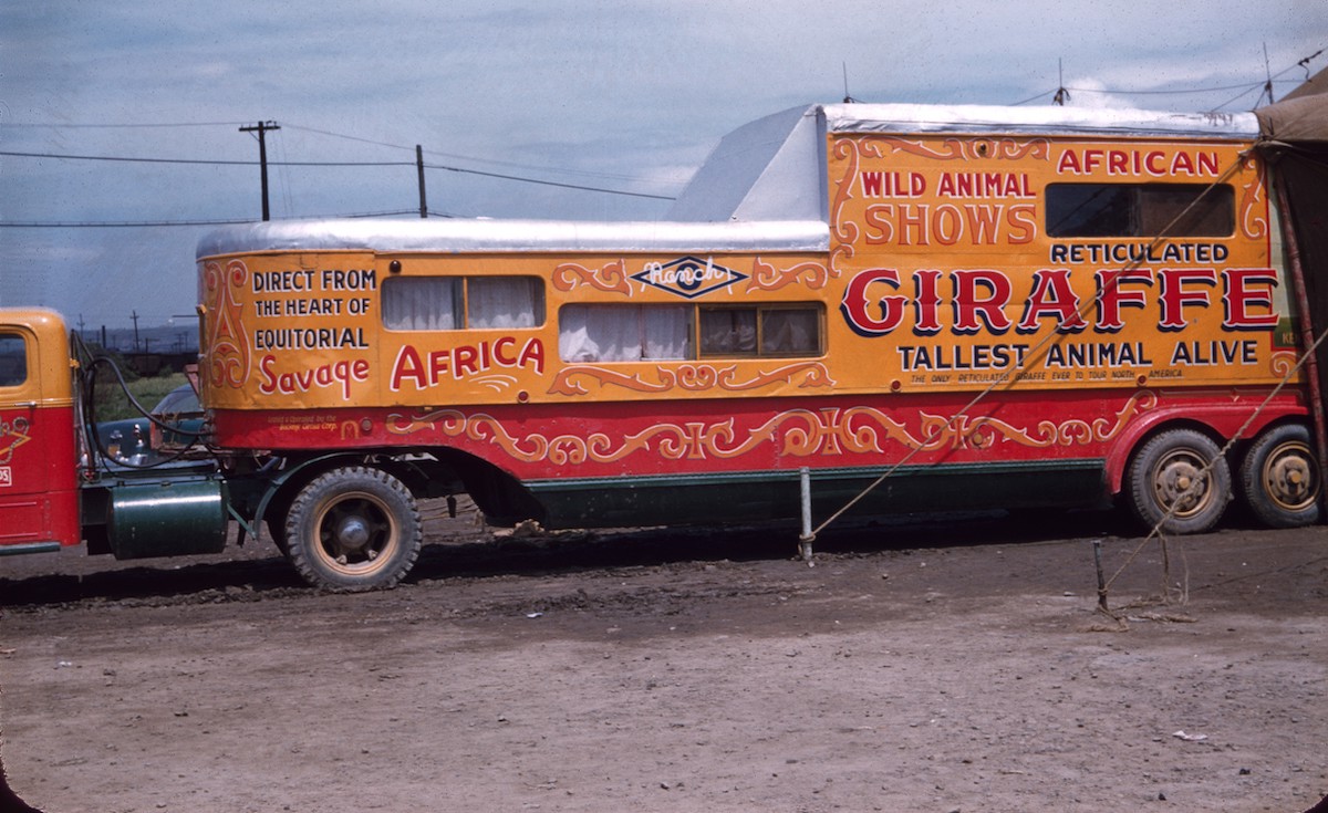 The Sensational Ortons: Stunning Vintage Photos of a Circus Family from the 1950s