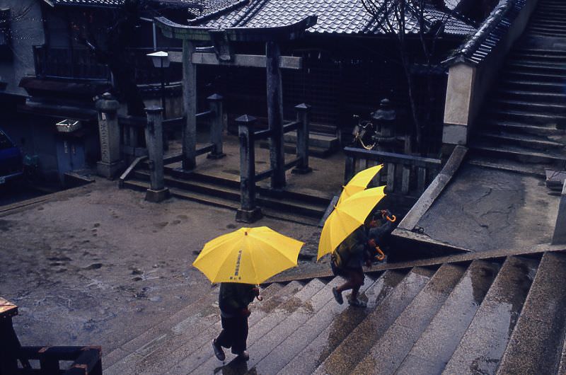 Yellow Umbrellas, Tokyo, 1983
