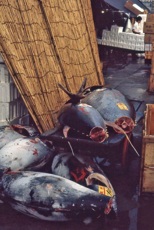 Tsukiji market, 1981