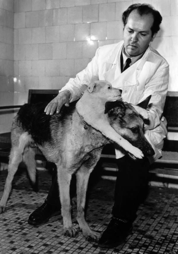 The Creepy Image Of The Soviet Scientist And His Two-Headed Dog