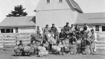 Boston rural life 1900s