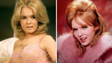 Story And Gorgeous Photos of Joey Heatherton From Her Life