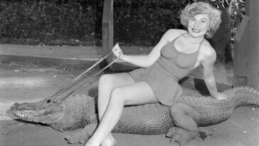 Model Posing with the Alligators 1949