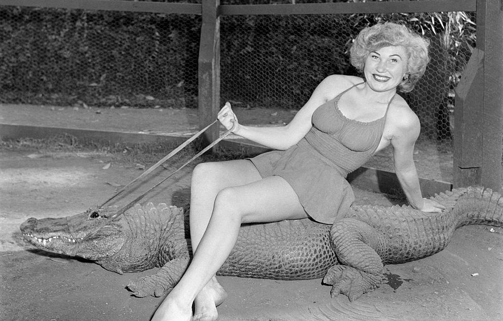 Model Posing with the Alligators 1949