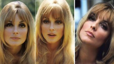 Sharon Tate portraits 1965