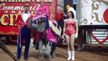 The Ortons circus family 1950s