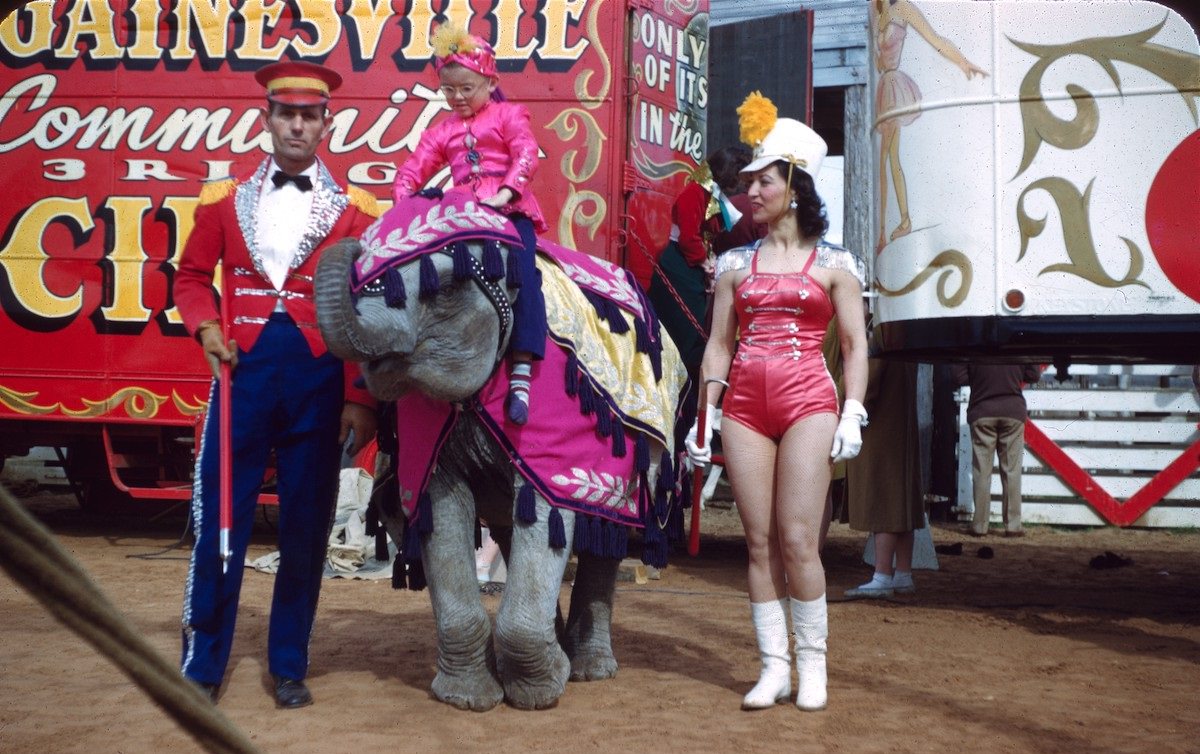 The Ortons circus family 1950s
