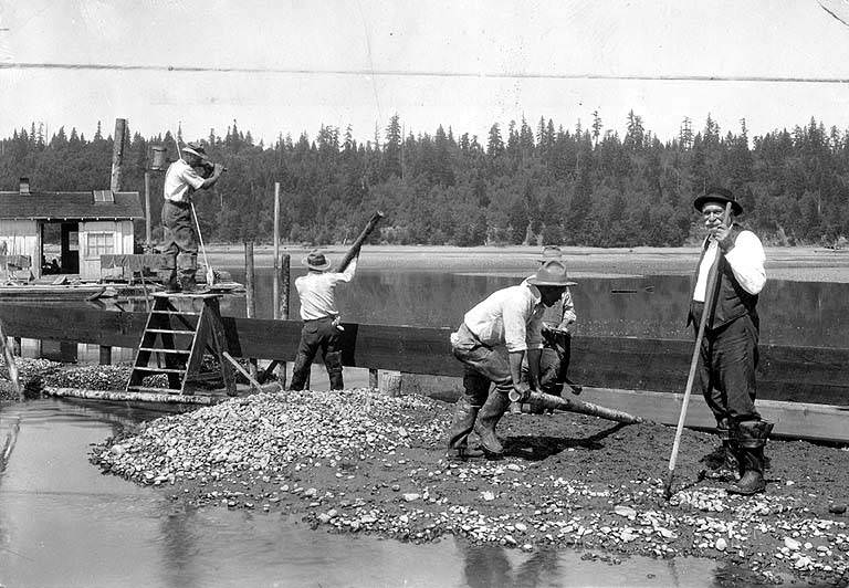 Building reosote lumber dikes for the Olympia Oyster Co, Thurston County, 1920