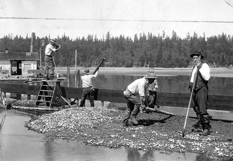 Building reosote lumber dikes for the Olympia Oyster Co, Thurston County, 1920