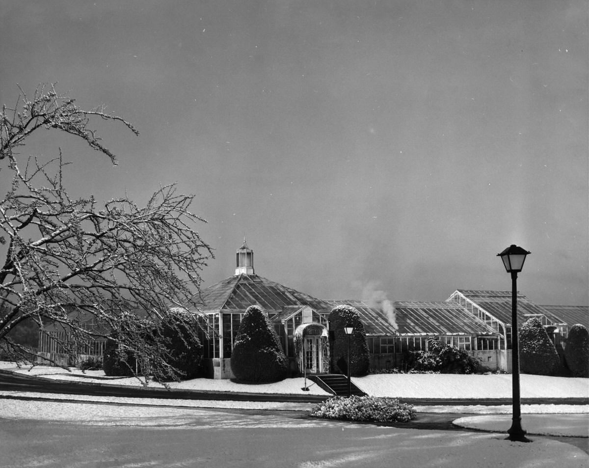 Capitol Conservatory in the snow, 1968