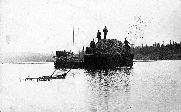 Four workers standing on a pile of oysters carried by the barge OLYMPIA NO. 205 in Oyster Bay, Washington, 1910