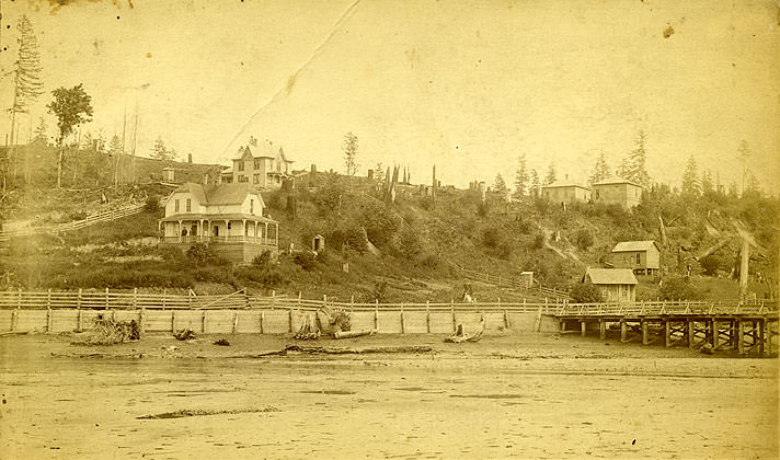 Black Jack Creek near Retsil, 1890s