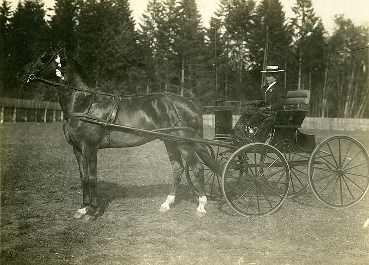 Minnie Blass with driving horse, Carlyon Racetrack, 1910