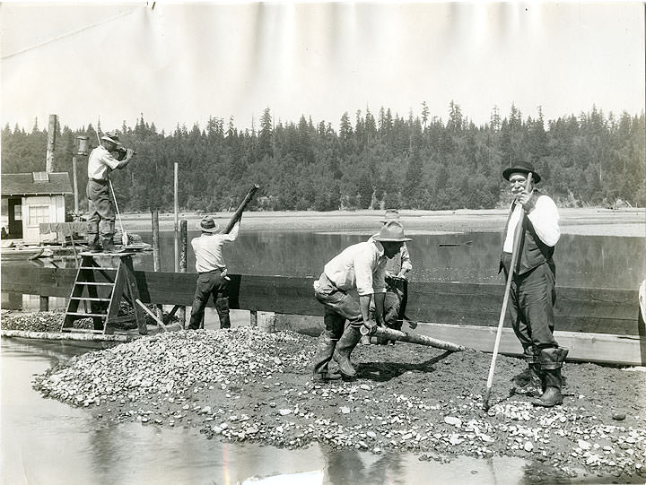 Constructing Concrete Dikes on Oyster Grounds, Olympia, 1925