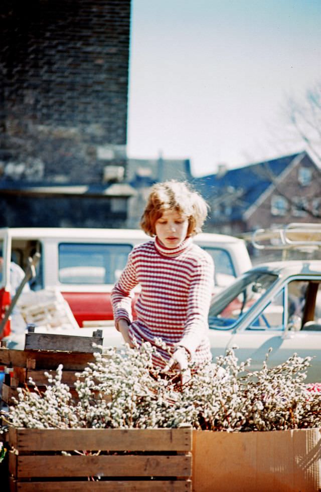 Ulm. Outdoor market, Germany, 1972