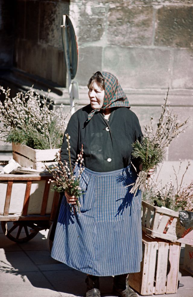 Ulm. Woman selling her flowers at the town's outdoor marketplace, Germany, 1972