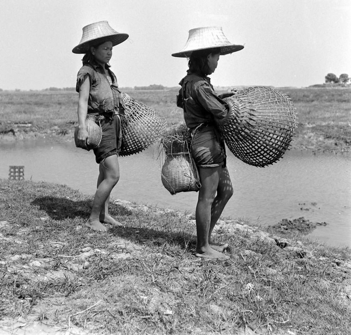 What Bangkok, Thailand looked like in the 1950s Through These Fascinating Vintage Photos