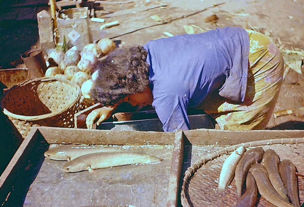 What Bangkok, Thailand looked like in the 1950s Through These Fascinating Vintage Photos