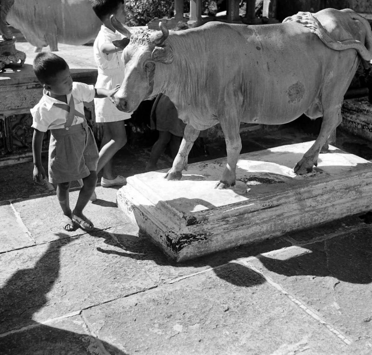 What Bangkok, Thailand looked like in the 1950s Through These Fascinating Vintage Photos