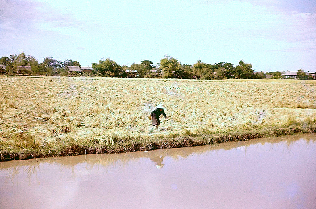 What Bangkok, Thailand looked like in the 1950s Through These Fascinating Vintage Photos