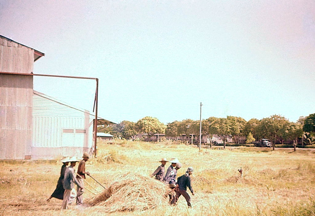 What Bangkok, Thailand looked like in the 1950s Through These Fascinating Vintage Photos