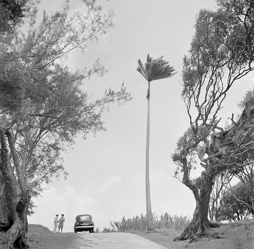 Two people stop and talk by the side of a road in Bridgetown, Barbados.