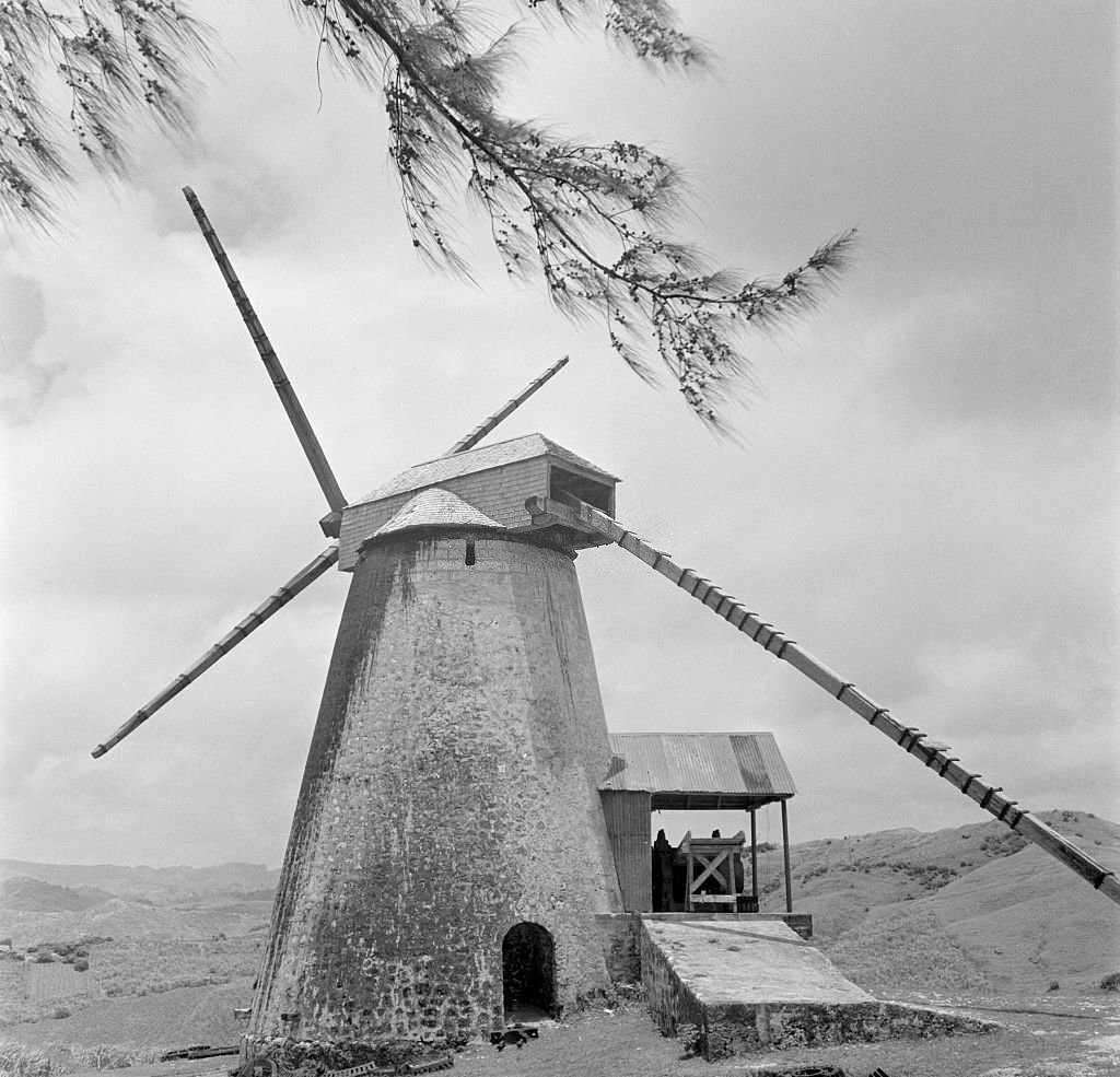 Morgan Lewis Windmill, part of a sugar plantation in Bridgetown, 1946