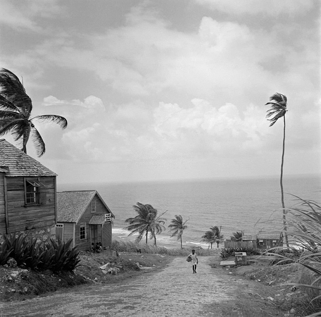 A young girl walking up a rocky road in Bridgetown, 1946