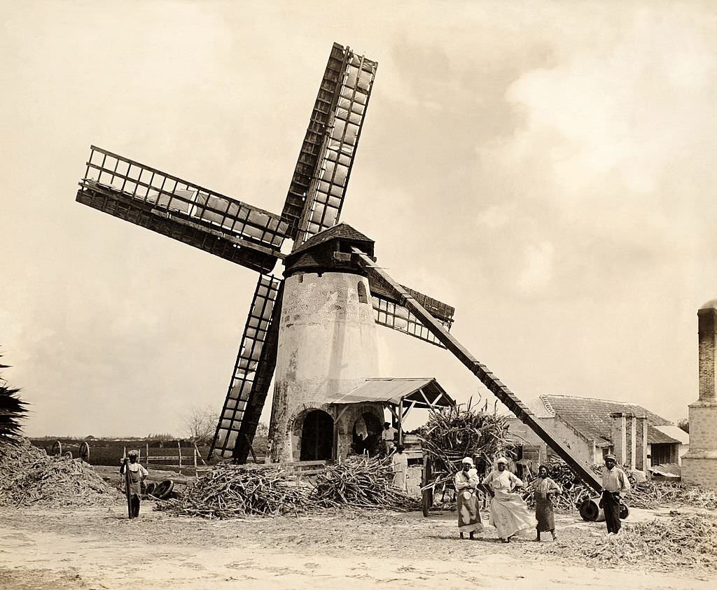 A windmill on a sugar cane plantation near Bridgetown, Barbados, 1910