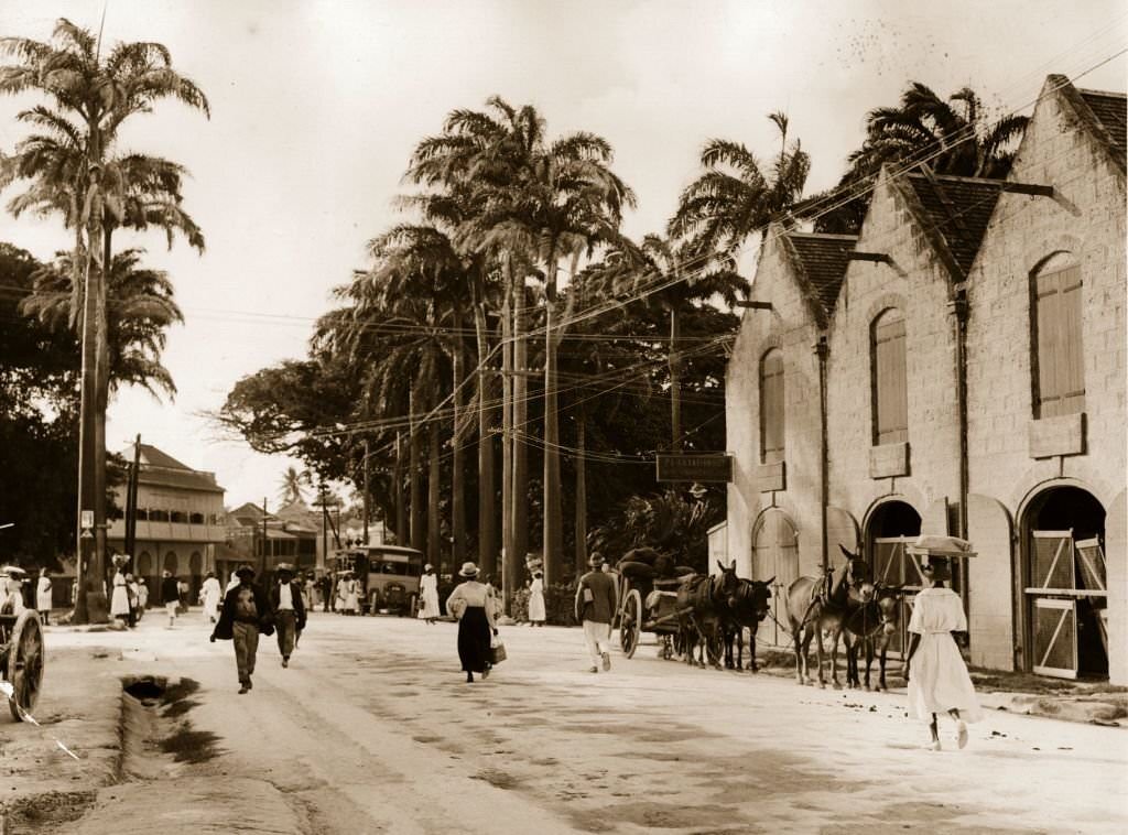 Lower Broad Street in Bridgetown, Barbados, 1910