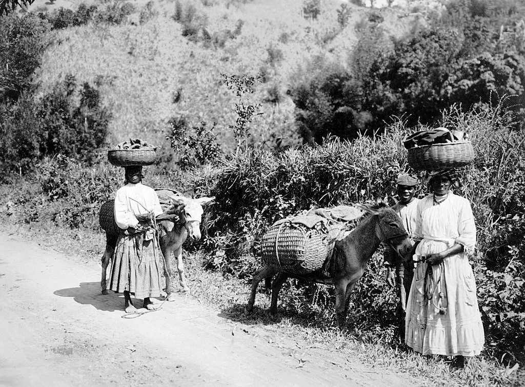 Local people on their way to market near Bridgetown, Barbados, 1910.