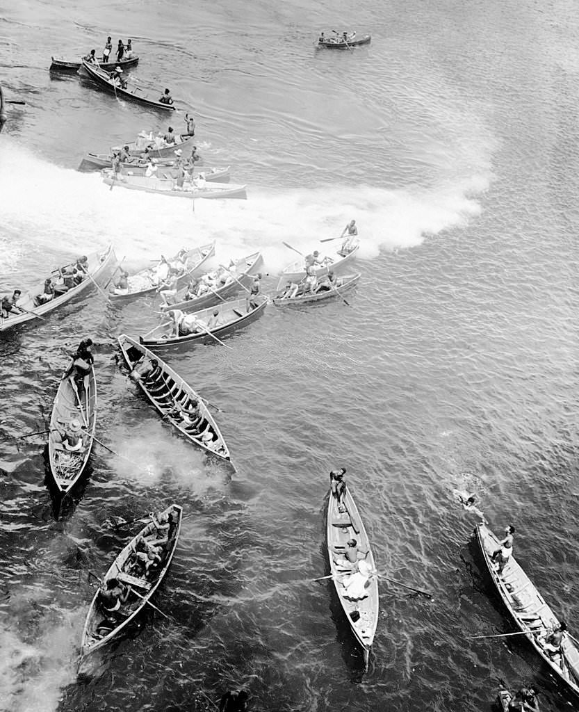 Boys diving from canoes to meet a tourist steamer at Bridgetown, Barbados, 1910.